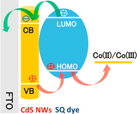 CdS Nanowire Solar Cells: Dual Role of Squaraine Dye as a Sensitizer and a Hole Transporter